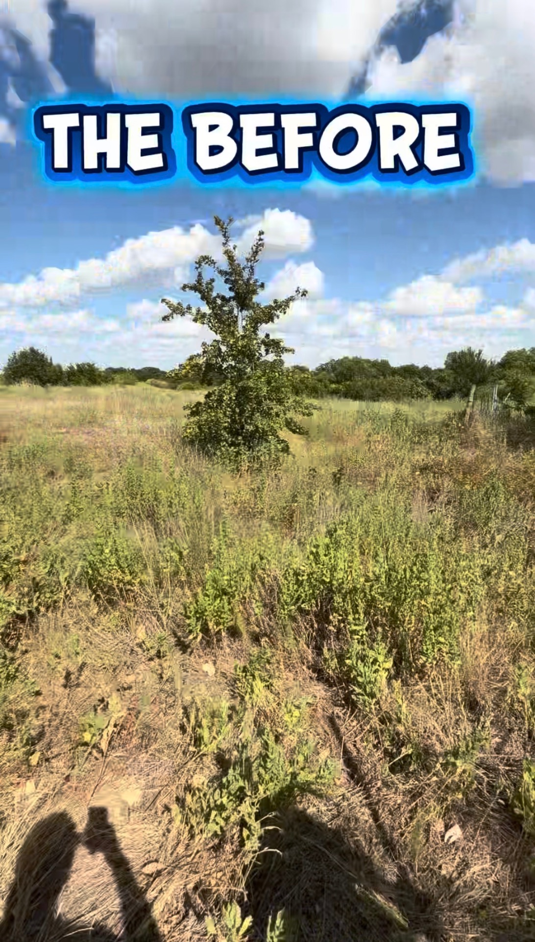Fence / Trespass Line Clearing & Build before